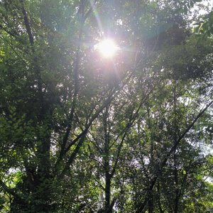 张敬轩-吻得太逼真/酷爱（左右声道））（风来飞鸟 remix）