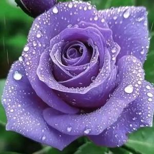 It Was Too Good To Be True