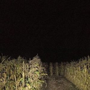 Um Dia (Slowed + Reverb)