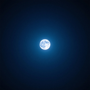 MIDNIGHT PANDA PM11.00