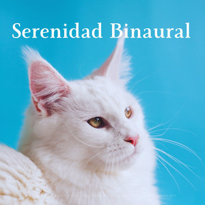 Serenata Binaural Felina