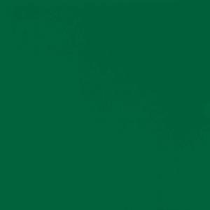 #moon // BlxxdLivin101