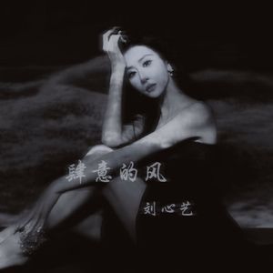肆意的风