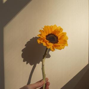 Let The Light In