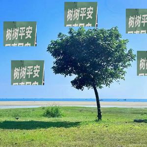 属于你的一首歌