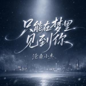 只能在梦里见到你