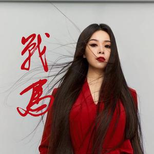 战马 (Dj默涵版)