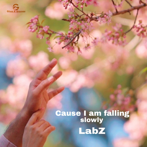 Cause i am falling slowly