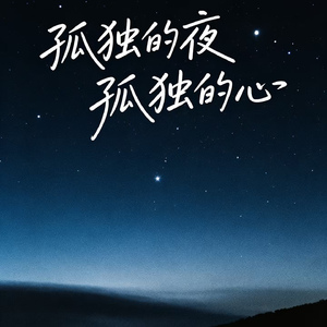 孤独的夜孤独的心