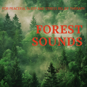 ギターの音でリラックス 眠れない夜に聴く睡眠用BGM (自律神経を整える睡眠用 森 鳥)