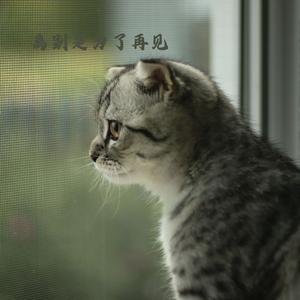 缓缓摇曳 (钢琴曲)