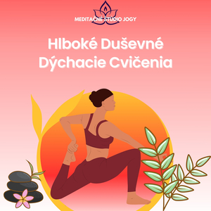Synchronizovaná Meditácia