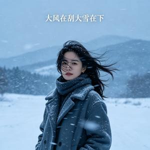 大风在刮大雪在下
