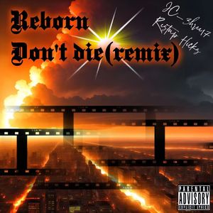 Reborn Don't Die（remix）