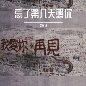 忘了第几天想你