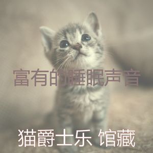 柔和的小猫时刻
