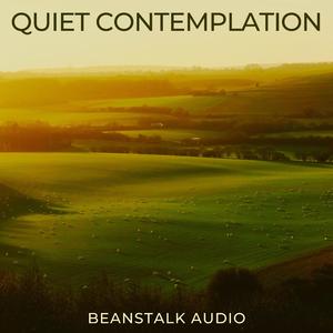 Quiet Contemplation