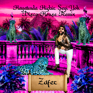 Hayatında Hiçbir Şeyi Yok (Disco House Remix)