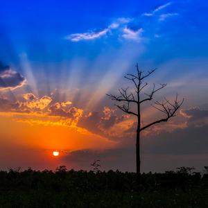 Land of Hope and Glory (Organ Version)