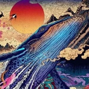 荆楚战歌 北科大抗疫原创宣传曲