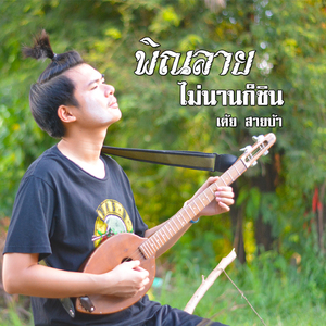 พิณลาย ไม่นานก็ชิน