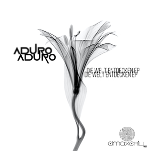 Nachthimmel Und Sternenfall (Original Mix)