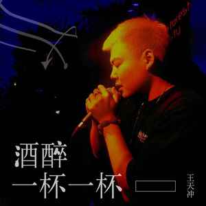 酒醉一杯一杯 (DJ沈念版)