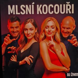 Mlsní kocouři