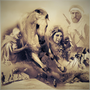 Once Upon a Time in Sinai