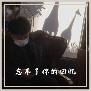 忘不了你的回忆