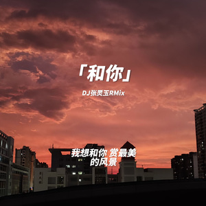 余佳运-和你 DJ张灵玉RMix