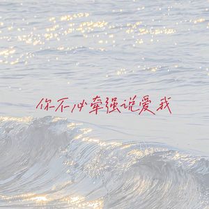 你不必牵强说爱我