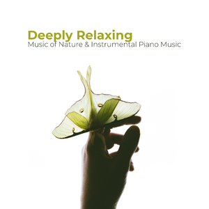 Emoctional Pain Relief (Piano & Water)
