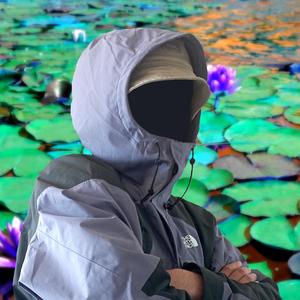 Nénuphar