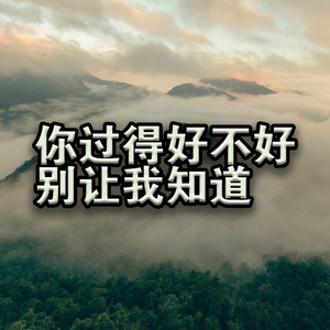 你过得好不好别让我知道