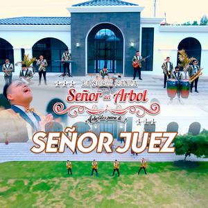 La Super Banda Señor Del Arbol - Señor Juez
