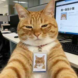 哈基米囊囊囊小曲