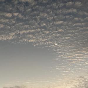 会受伤的人只有一种可能