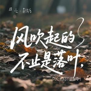 风吹起的不止是落叶
