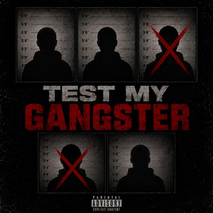 Test My Gangster