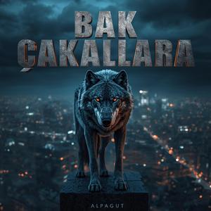 Bak Çakallara