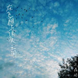 在飞翔与迷失之间