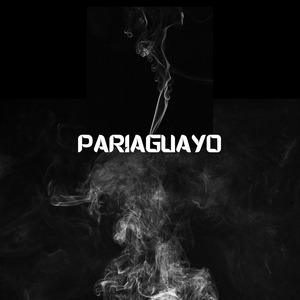 Pariguayo