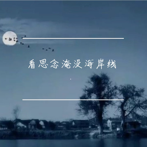 看思念淹没海岸线