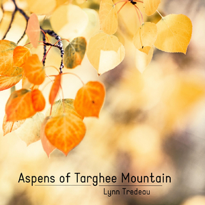 Aspens of Targhee Mountain