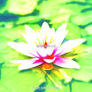 抚慰的面部水疗回忆