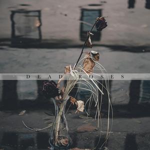 Dead Roses (Live Session)