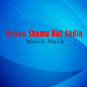 Mekon Shama Bai Ahdin