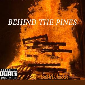 Behind The Pines