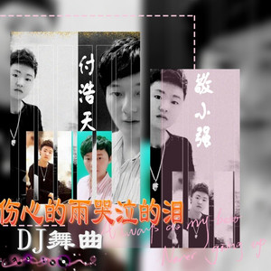 伤心的雨哭泣的泪-DJ情感舞曲